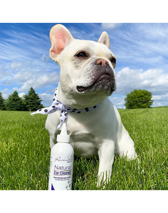 Natural Dog Ear Cleaner