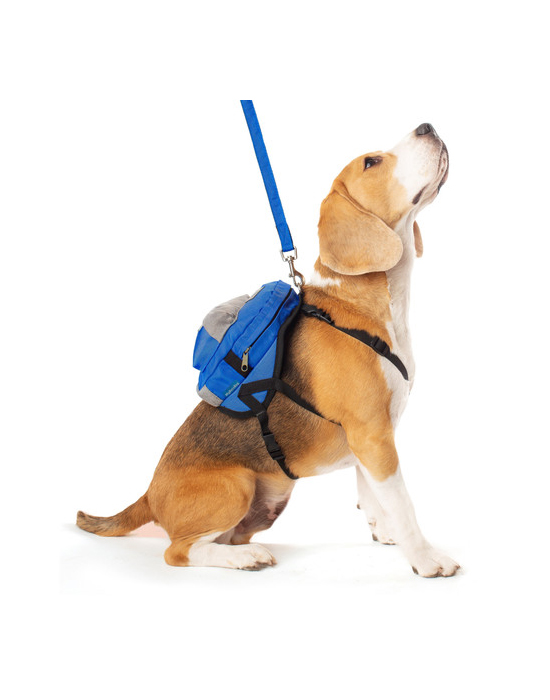 Dog Harness Backpack